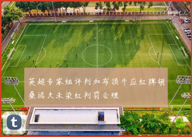 英超专家组评判加布顶牛应红牌胡桑诺夫未染红判罚合理