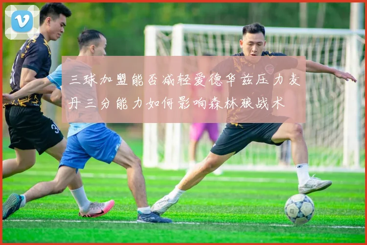 三球加盟能否减轻爱德华兹压力麦丹三分能力如何影响森林狼战术